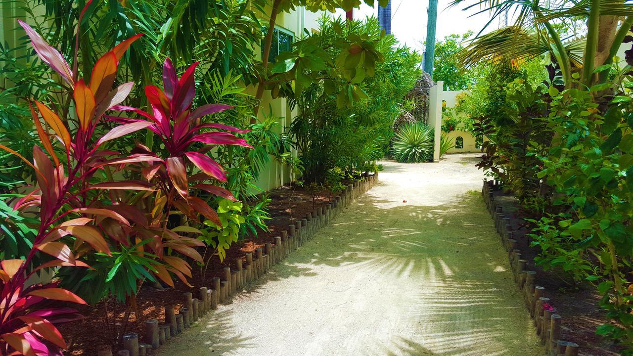 Tres Cocos Resort ซานเปโดร ภายนอก รูปภาพ